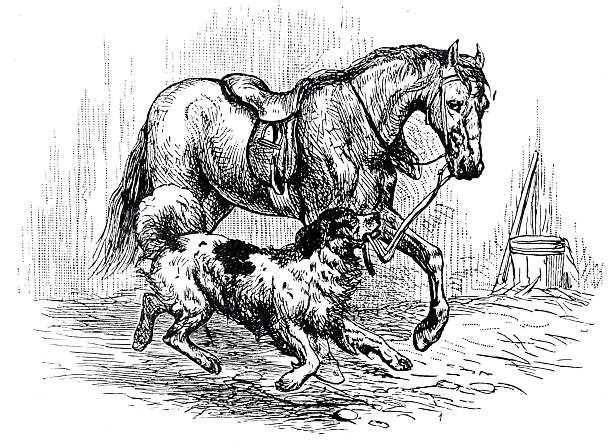 Dog leads horse on a leashOriginal edition from my own archivesSource : Favourite stories about animals 1894