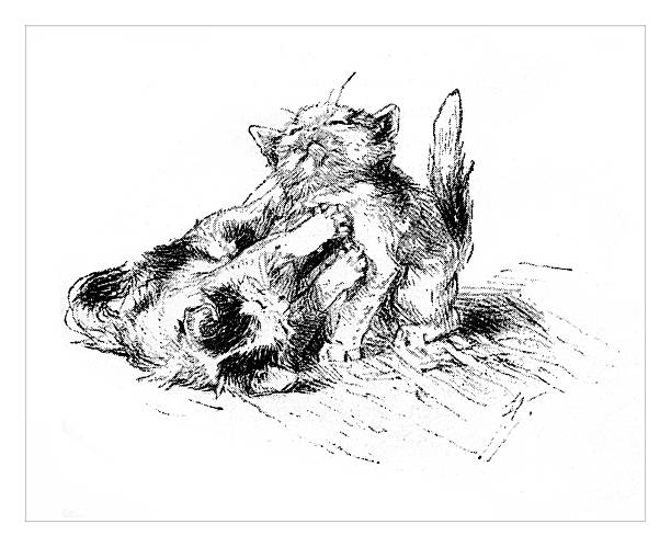 A charming black and white illustration from the 19th century depicting a fluffy cat or kitten. The animal is lying on its back in a playful and expressive pose, scratching its chin with its hind leg. This detailed animal study captures the natural behavior and texture of the cat's fur. The style is reminiscent of a lithograph or etching, isolated on a white background.