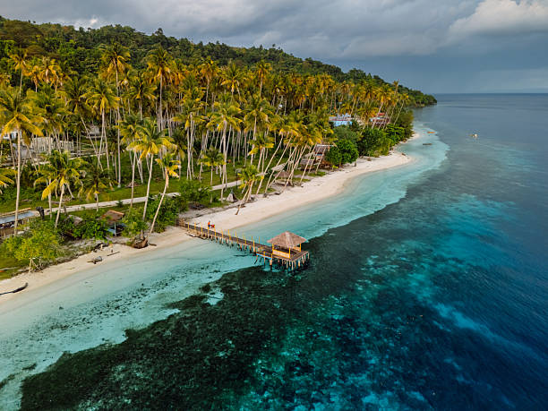 Tropical beach with palm trees and pier with quiet sea in Indonesia.