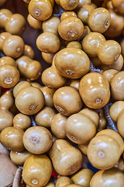 Dried bottle gourd