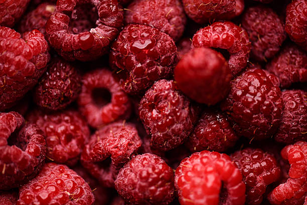 Macro Close Up of Fresh Raspberries Showing Natural Fuzzy Surface and Juicy Texture