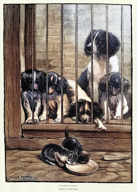 Dogs watching some kittens drinking, Animal art, Victorian, 19th Century vintage illustration