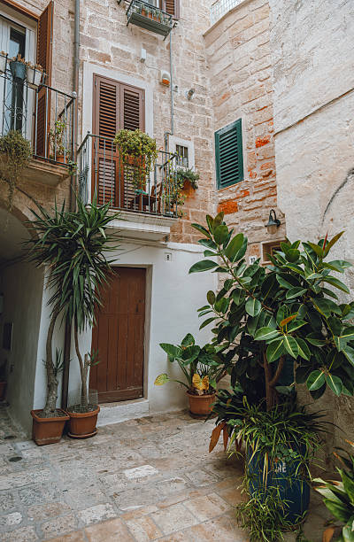 Scenic view of a traditional alleyway in the historic old town of Polignano a Mare, Puglia. The narrow cobblestone street is framed by Mediterranean stone houses with whitewashed walls, wooden shutters and small balconies decorated with plants. Abundant potted greenery enhances the intimate courtyard atmosphere, reflecting the authentic charm of southern Italy’s coastal villages known for their winding streets and picturesque architecture