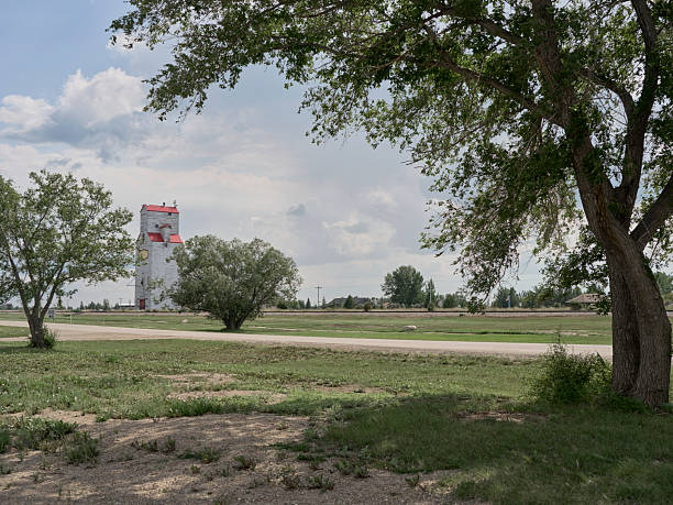 Historic grain elevator with red roof in open prairie landscape under cloudy sky in Saskatoon, Canada framed by trees.