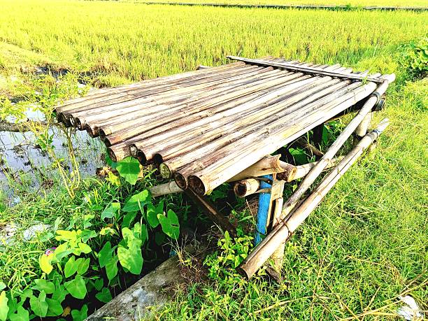 a farmer's resting place made of bamboo on the edge of the rice field