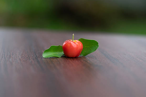 Acerola cherry fruit is one of the richest natural sources of ascorbic acid in the world, be eaten raw or used as a juice or mixed with other