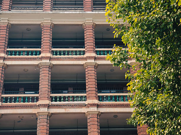 The interplay between nature and architecture is striking: the vibrant leaves gently frame the rigid lines of the building, softening its form while emphasizing its grandeur. This image speaks to the harmony between built environments and natural surroundings, ideal for themes of heritage, education, or urban history.