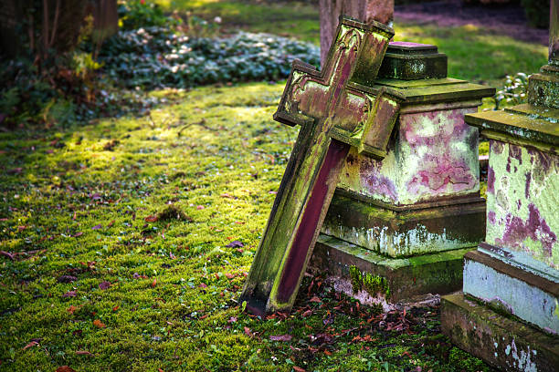 A weathered, fallen stone cross lies abandoned on the forest floor of an ancient graveyard, its surface completely reclaimed by thick green moss. Surrounded by tangled vines, dry twigs, and the soft shadows of a dense woodland, the scene evokes a powerful sense of time passing and the quiet decay of history.