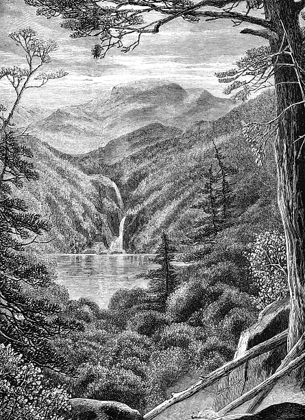 Illustration from 19th century.