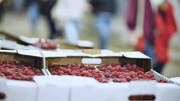 Fresh raspberries in cardboard boxes and plastic containers at a fruit market stall