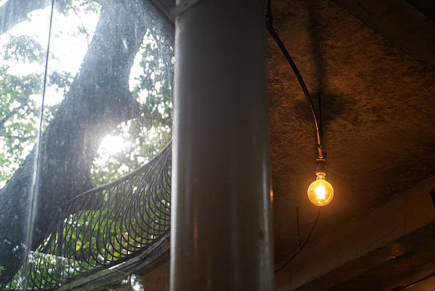 Cozy Cafe Interior with Vintage Light and Tree View Through Window