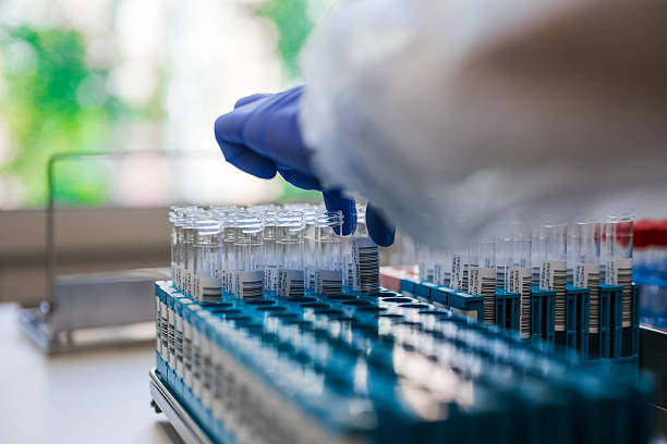 Gloved Technician Selecting Sample Vials From Rack, Workstation Bathed In Natural Light With Labeled Tubes,