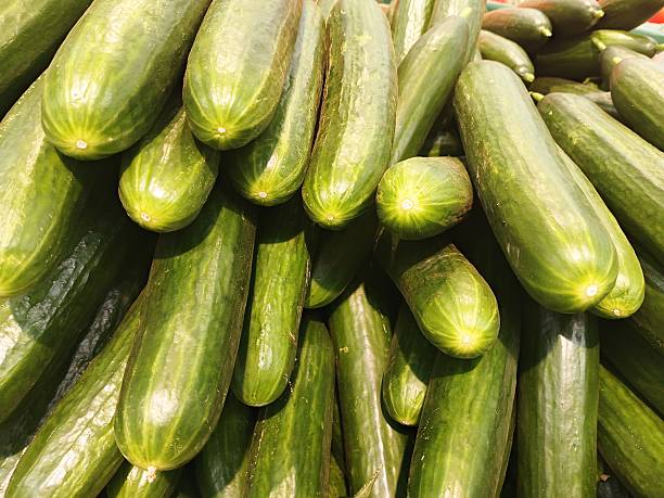 fresh vegetables