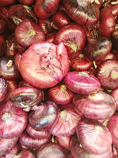 fresh vegetables