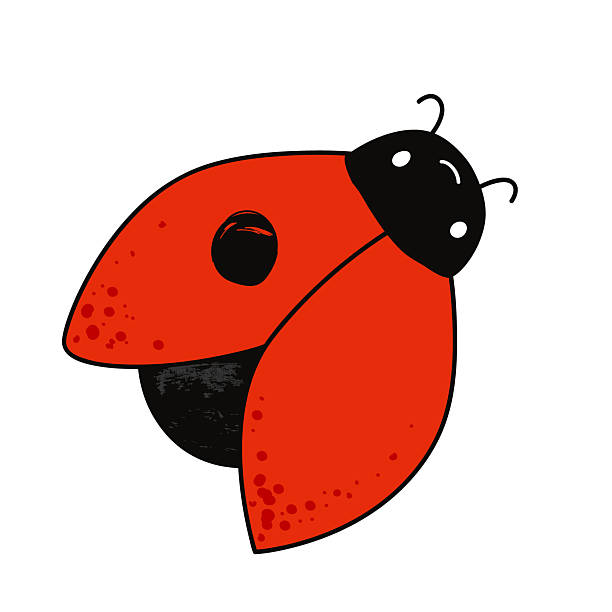 Cartoon kawaii ladybug baby character with a one dot. Ladybird icon. Isolated vector illustration on white background