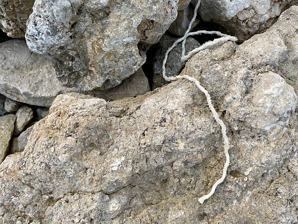 frayed white rope resting on the rough, textured surface of large limestone boulders, showing natural weathering and mineral details.