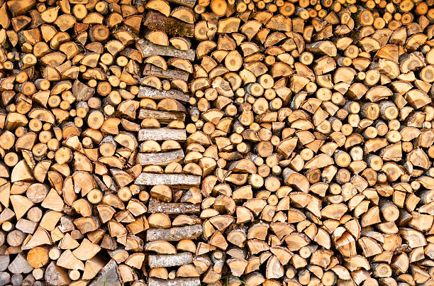 A large stack of firewood stored to dry.