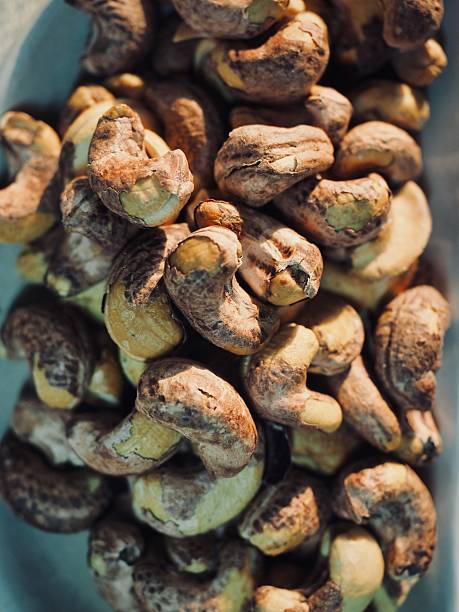 savory baked cashew nuts, snack, meal