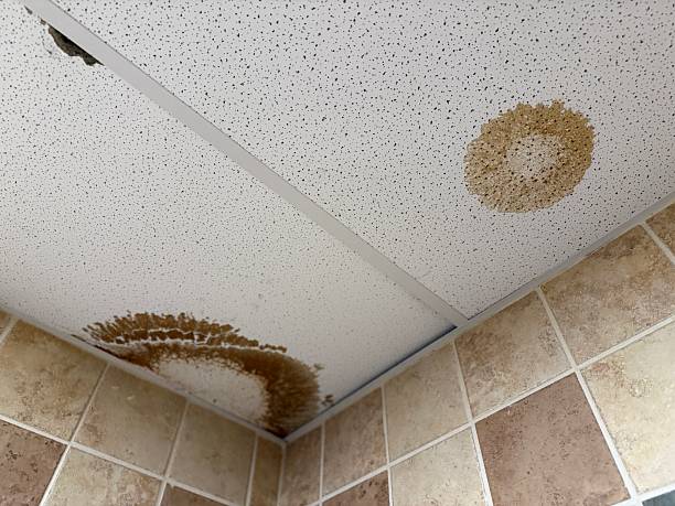 Ceiling Flood and Leak Damage