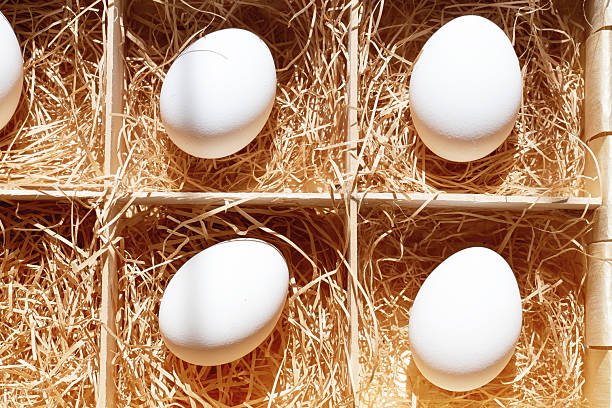 Overhead view of fresh white eggs in natural straw