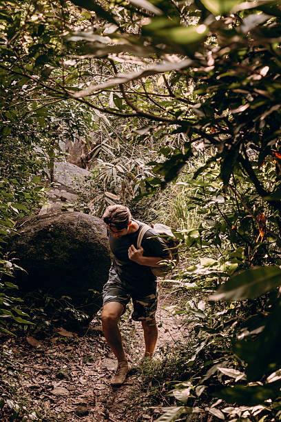 Man hiking through dense forest trail under canopy