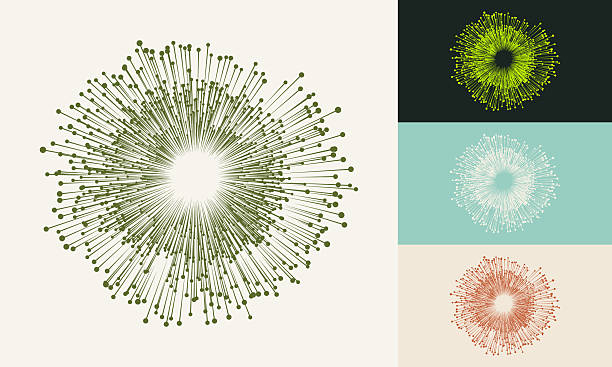 Radial burst of thin lines with dot tips forming dandelion or sunburst shape in four natural color variants. Minimalist organic vector icon for nature, ecology, science and modern design concepts.
