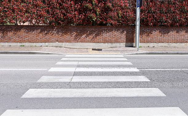 Brick fence with red leaf hedge on top. Sidewalk, crosswalk and street in front. Background for copy space.