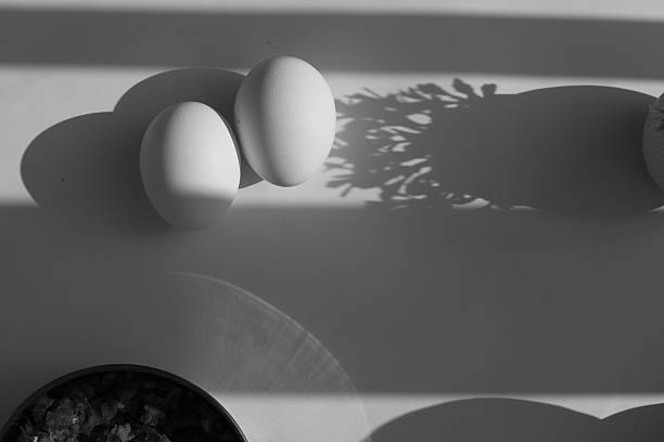 Conceptual still-life food photography - Monochrome