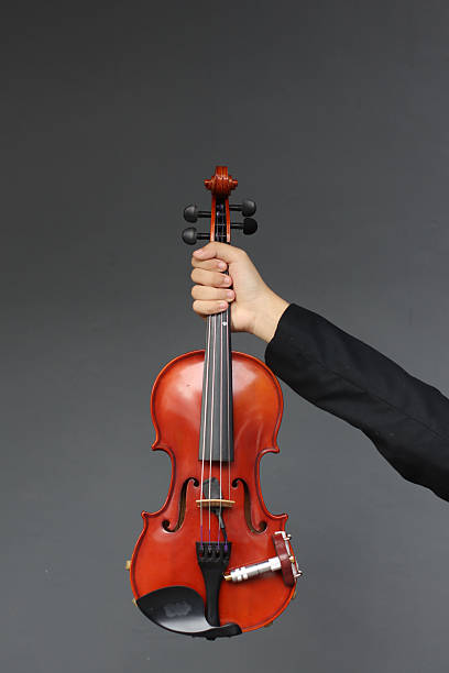 A violin is a four-stringed, bowed musical instrument, acting as the smallest and highest-pitched member of the string family.