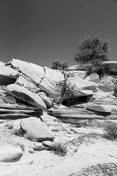 Canyonlands National Park in Utah, USA. Island in the Sky district.