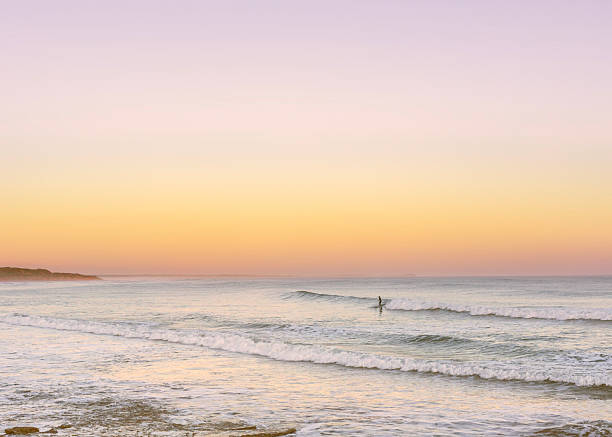 The Lone Surfer stock photo