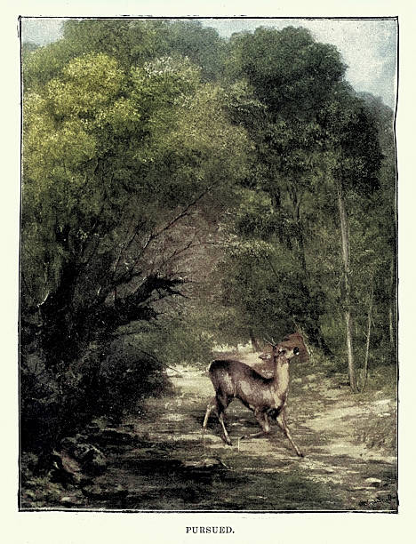 Pursued, Deer in the woods, Vintage illustration 19th Century 1890s