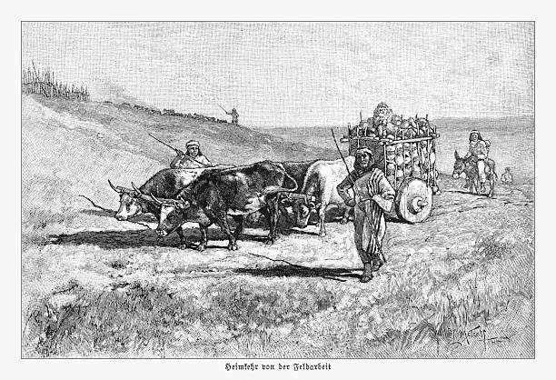 Authentic 19th-century engraving depicting a group of farmers returning from field work in a rural, possibly Middle Eastern, landscape. A man leads two yoked oxen pulling a two-wheeled cart laden with the harvest, likely gourds. Other figures walk alongside or ride a donkey. The original German caption is 'Heimkehr von der Feldarbeit' (Returning from the field work). After a work by Wilhelm Gentz (1822-1890), a German orientalist painter.