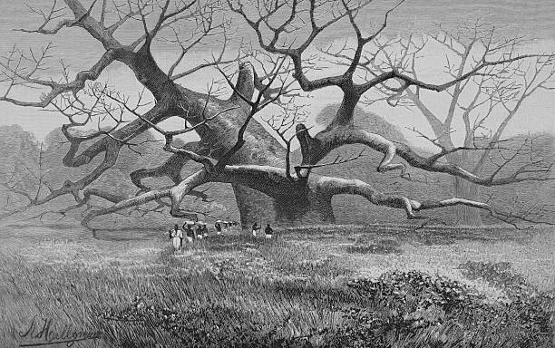 Illustration from 19th century