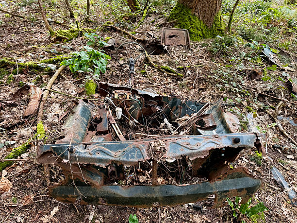 A rusty and burnt-out car chassis decaying in woodland in Dorset