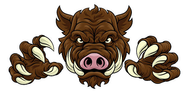 A wild boar, hog razorback warthog pig mean tough cartoon sports mascot