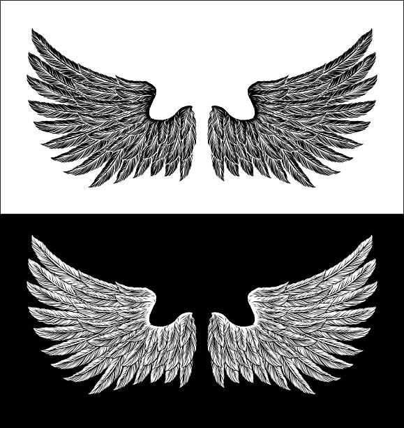 Eagle, angel or similar wings in a tattoo illustration vintage woodcut etching style