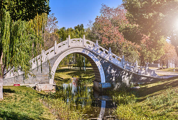 Chinese Style Bridge