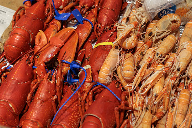 Fresh seafood on display at the market today
