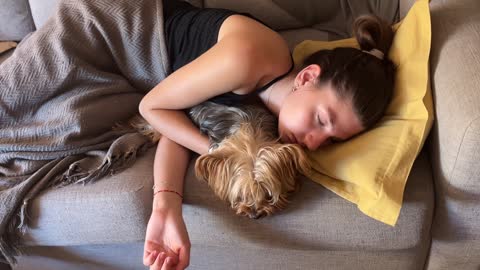 Tranquil young woman sleeping peacefully on the sofa while tenderly hugging her adorable yorkshire terrier, embodying a serene moment of relaxation and deep rest