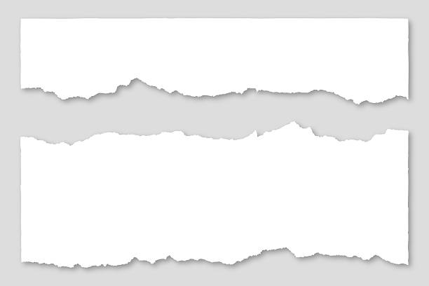 ilustraciones, imágenes clip art, dibujos animados e iconos de stock de retazos de papel blanco rasgados aislados sobre gris - chatarra