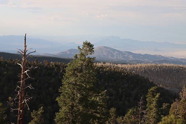 Spring Mountains - July stock photo
