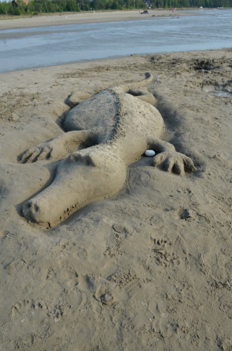 Sand Art Stock Photo - Download Image Now - Animal, Art, Art And Craft - iStock Sand Art Stock Photo - Download Image Now - Animal, Art, Art And Craft - iStock