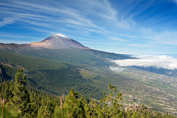 istock Nice photo of Teide 450013303