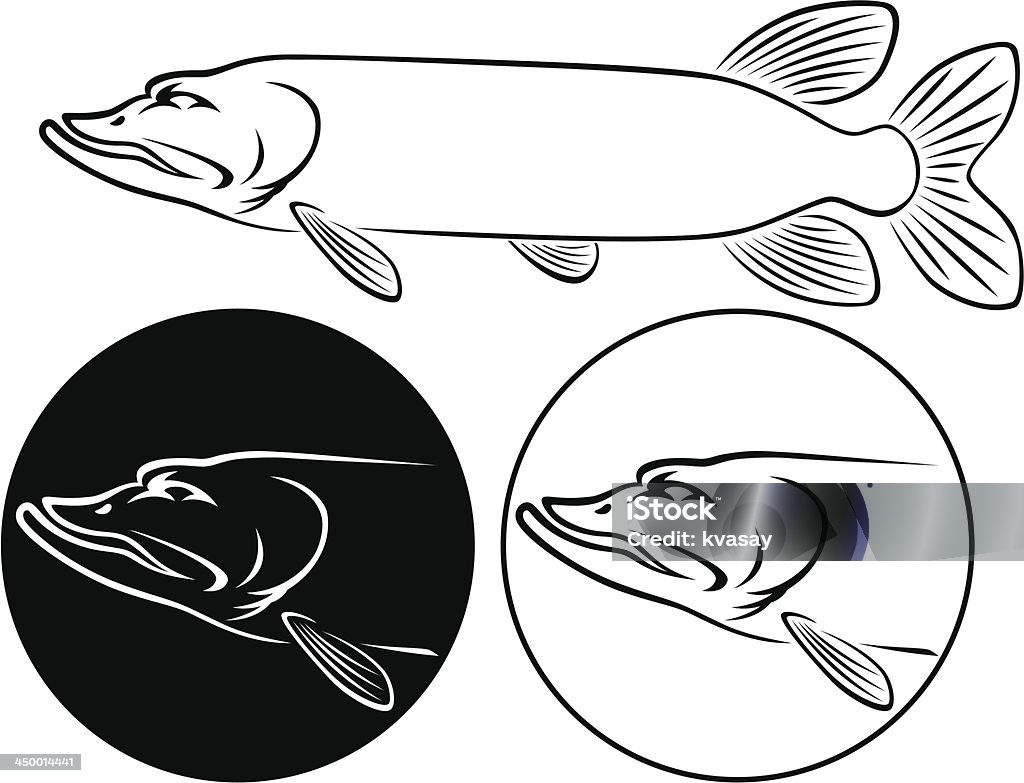 Pescado pike - arte vectorial de Lucio libre de derechos