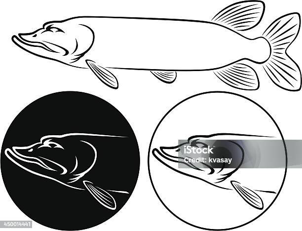 Ilustración de Pescado Pike y más Vectores Libres de Derechos de Lucio - Lucio, Agua, Aleta - Parte del cuerpo animal