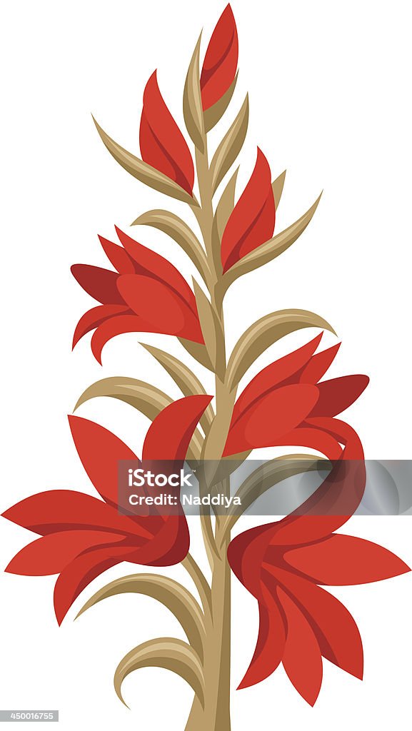 Red Gladíolo flores.  Ilustração vetorial. - Vetor de Bege royalty-free