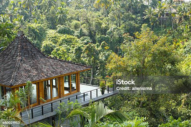 Resort In Rainforest Stock Photo - Download Image Now - Rainforest, Hotel, Exoticism