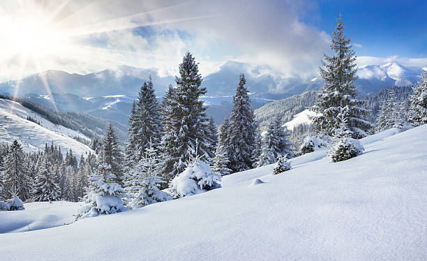 istock Beautiful winter landscape in the mountains 450028321