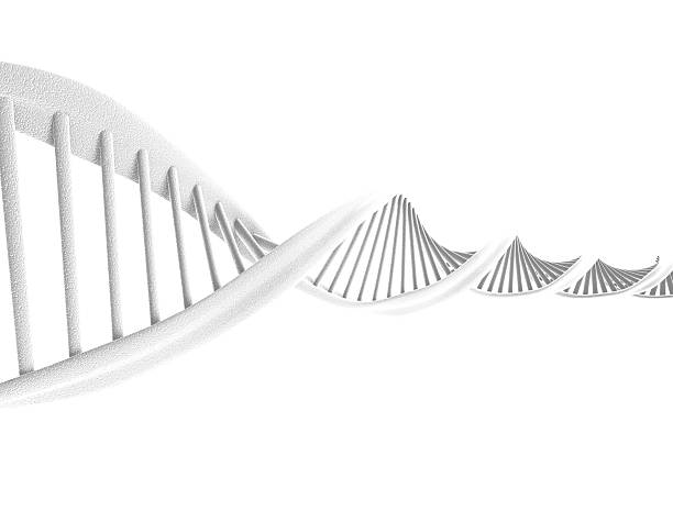 3 d dna oznacza - high scale magnification zdjęcia i obrazy z banku zdjęć